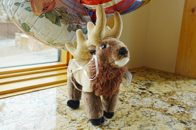 Image 2 for Estes Park Birthday Package