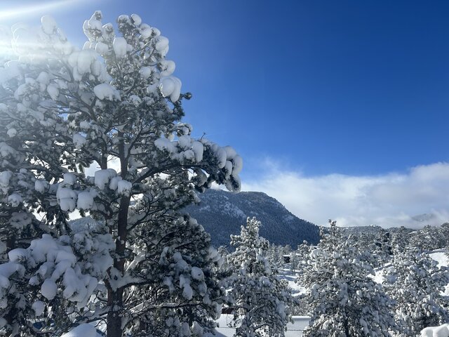 Image 1 for 20% off Weekdays in Off Season