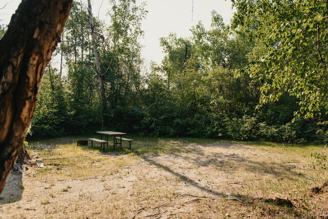 Image 1 for N-06) Back In Non-Service