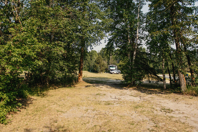 Image 3 for N-05) Back In  Non-Service