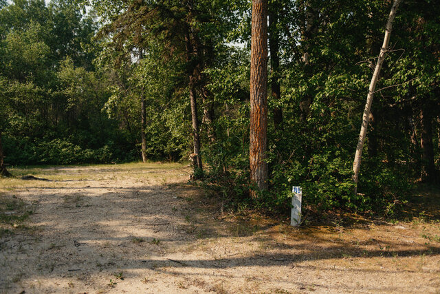 Image 3 for N-06) Back In Non-Service