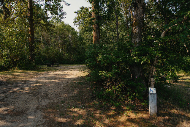 Image 3 for N-07) Back In Non-Service