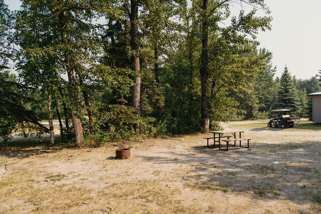 Image 2 for N-05) Back In  Non-Service