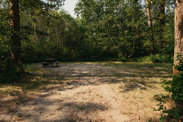 Image 2 for N-07) Back In Non-Service