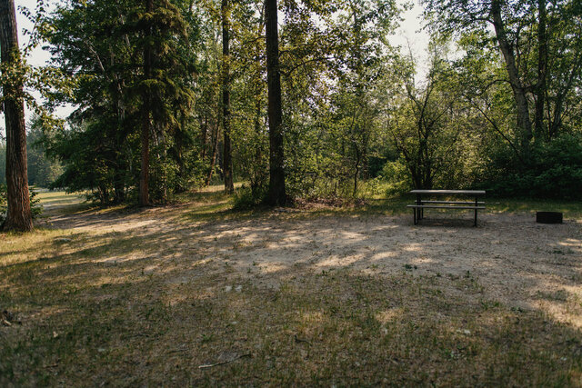 Image 1 for N-07) Back In Non-Service