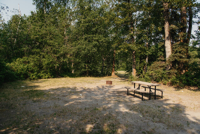 Image 1 for N-05) Back In  Non-Service