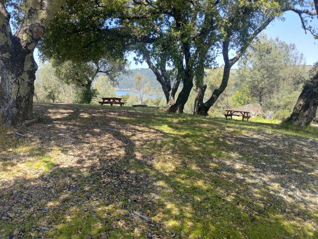 Image 1 for 15) Campsite 15