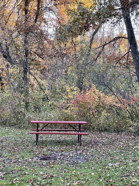 Image 1 for Back in Deluxe RV Site #94