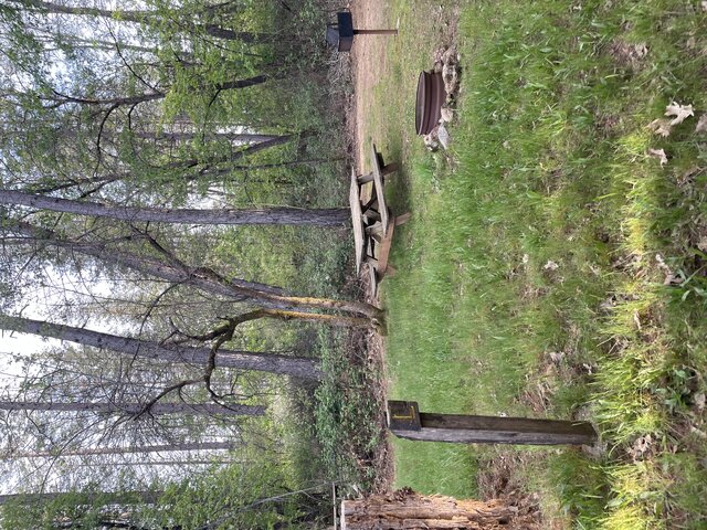 Image 1 for F) Tent Site