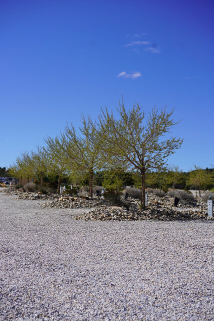 Image 2 for 108 Pull Thru End