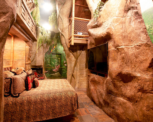 Image 3 for Mayan Rainforest