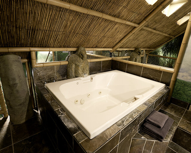 Image 4 for Mayan Rainforest