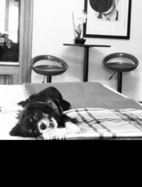 Image 3 for Room 904