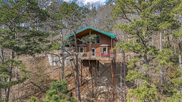 Image 1 for Redbud