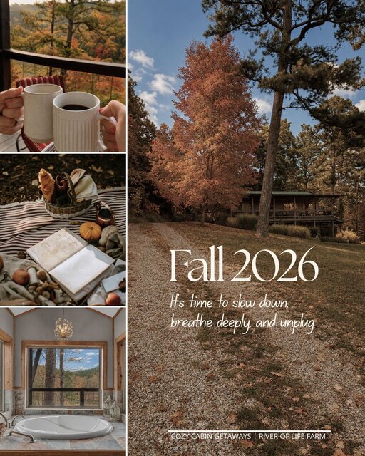 Image 1 for FALL SPECIAL
