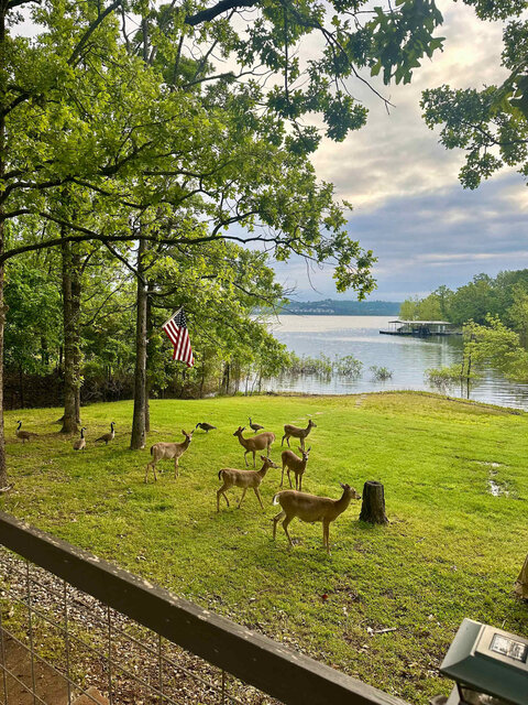 Image 2 for Scenic Cove Lake Front Lodge