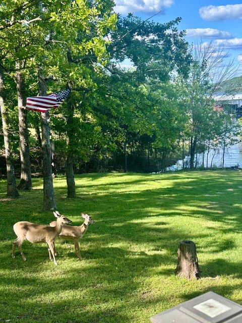 Image 4 for Scenic Cove Lake Front Lodge
