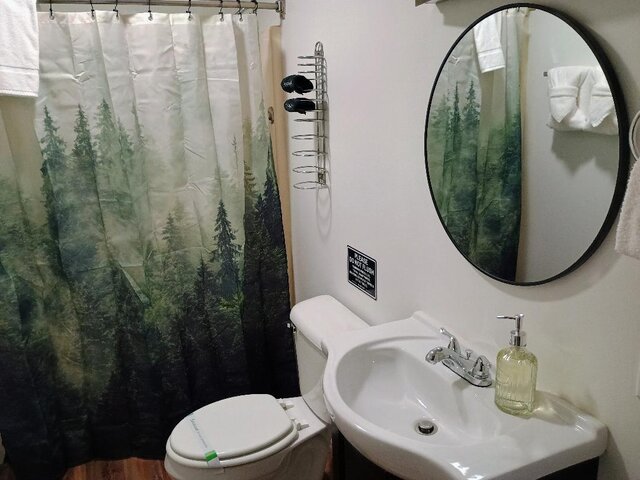 Image 6 for Lady Slipper