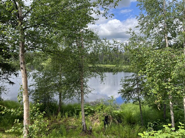 Image 20 for Beaver's Hideaway Cabin