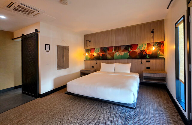 Image 2 for Desert King