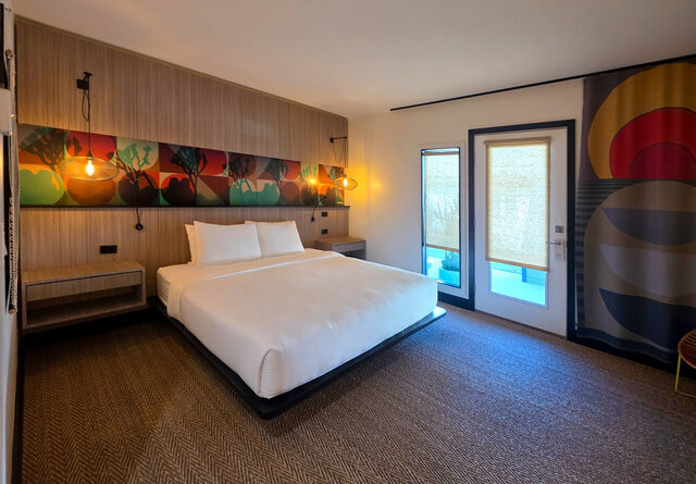 Image 1 for Desert King