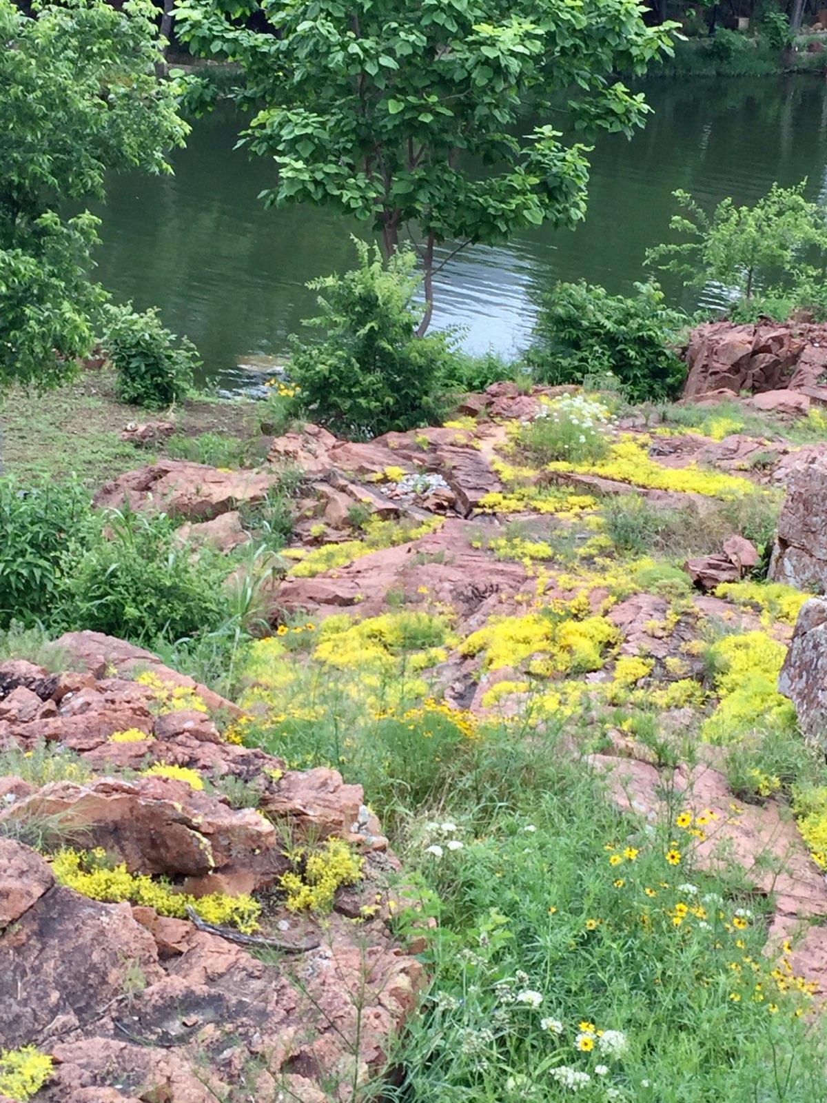 Medicine Park Rentals in Medicine Park, Oklahoma I Love HIstoric Medicine Park