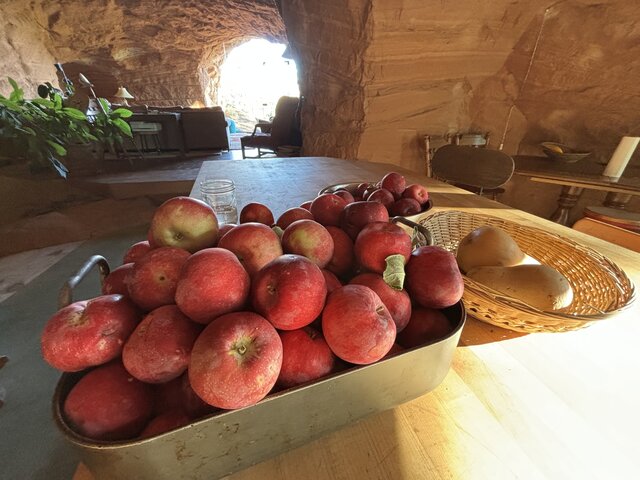 Image 1 for Homestay