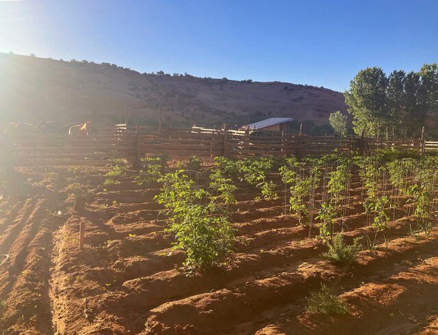 Image 4 for Rock House