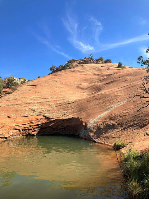 Image 6 for Homestay