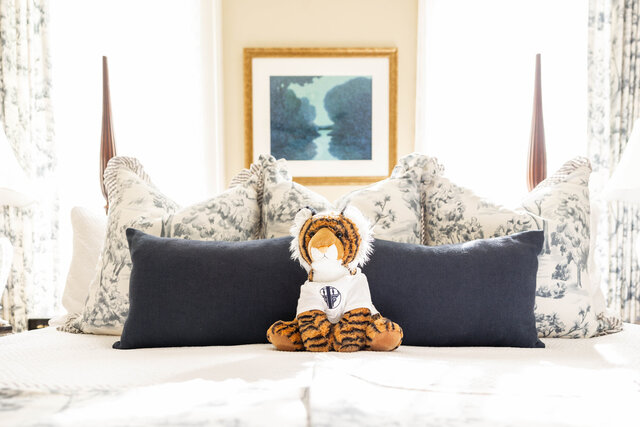 Image 2 for Aubie Suite