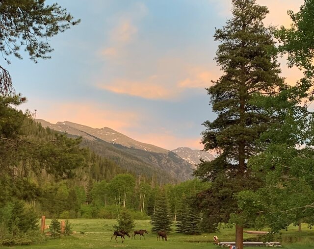 Image 16 for AYurt02) Yurt