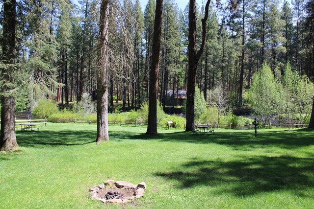 Image 7 for Spruce - Riverfront Cabin