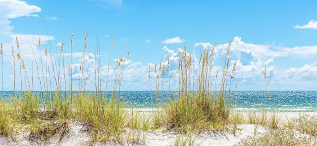 Image 6 for Pelican Beach Cottage