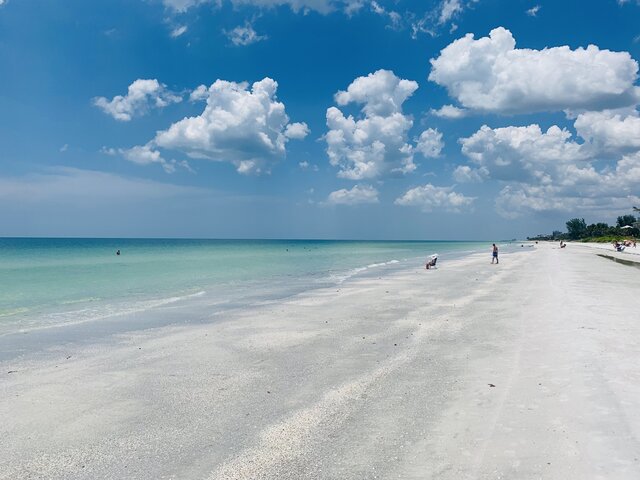 Image 2 for Teal Tide