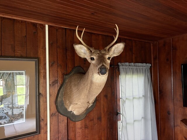 Image 6 for 07) The 7 Point