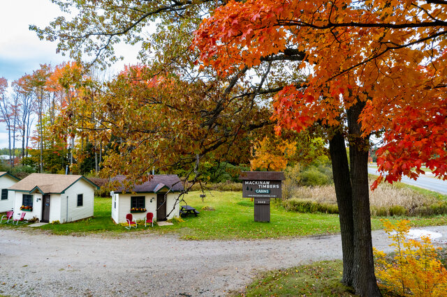 Image 16 for 06) The Greenwing Getaway