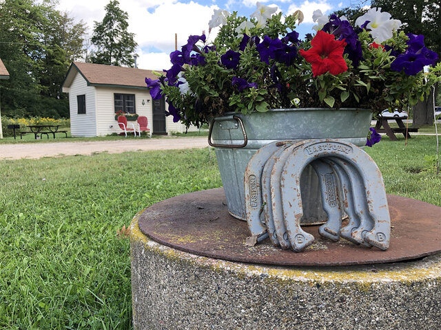 Image 22 for 06) The Greenwing Getaway