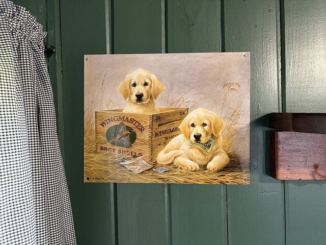 Image 4 for 05) The Ellie Mae