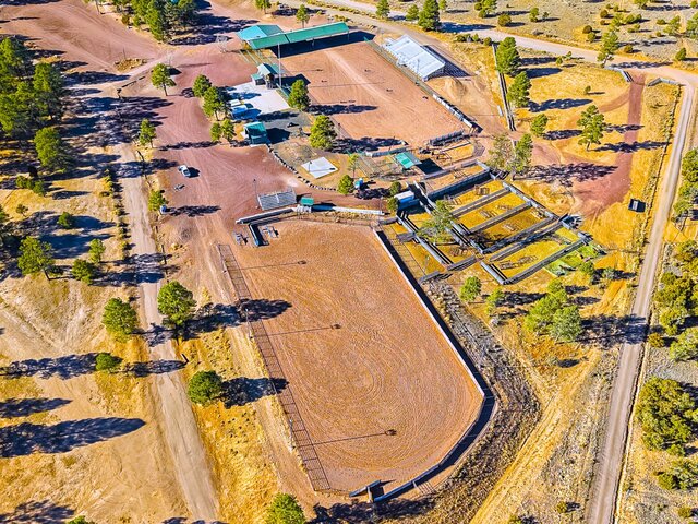 Image 1 for E03) Dual-Arena Reservation