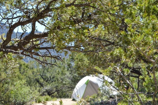 Image 8 for Group Site 1C