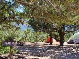 Image 16 for Group Site 1C