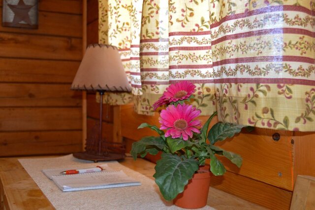 Image 8 for Deluxe Cabin-1