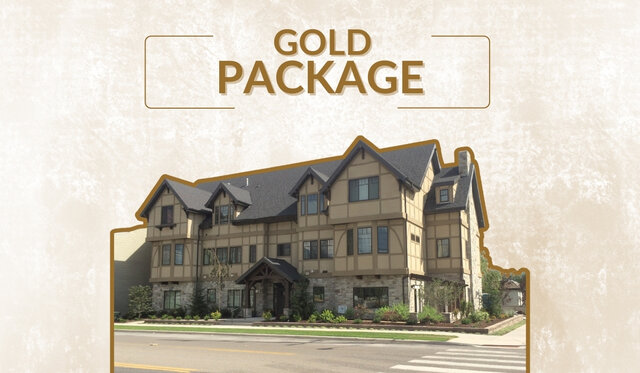 Image 1 for VIP GOLD