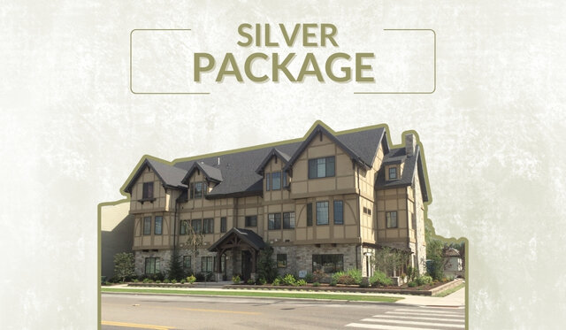 Image 1 for VIP SILVER