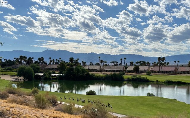 Image 15 for Deluxe Back-in