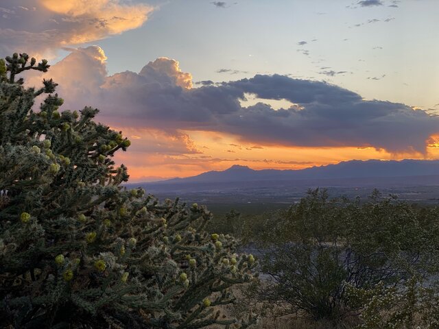 Image 17 for Premium Pull-Through