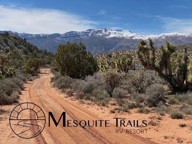 Image 24 for Standard Back-in