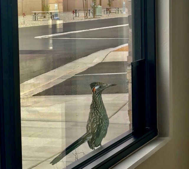 Image 13 for Premium Pull-Through