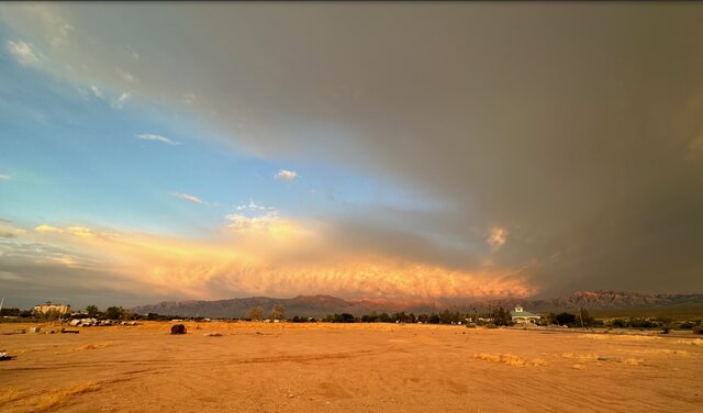 Image 14 for Deluxe Back-in