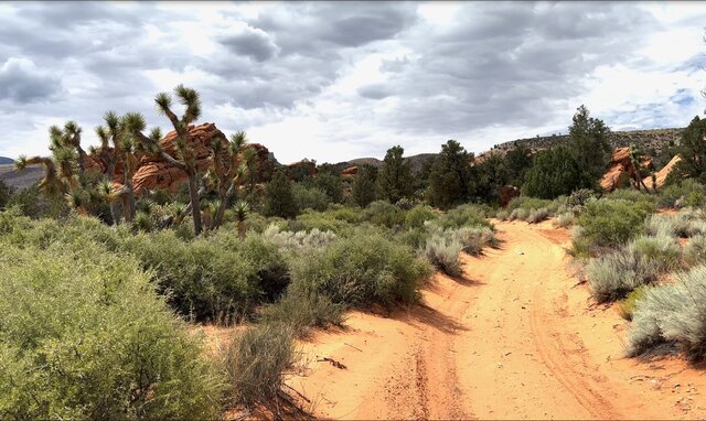 Image 23 for Deluxe Back-in